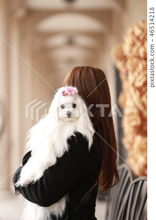 馬耳他語 46514218