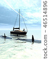 Orca sights on the yacht 46514896