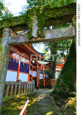 Wakamiya Inari Shrine (Nagasaki 9 companies) [Nagasaki City] 46514925
