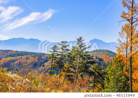 南阿爾卑斯山脈和黃色葉子山 南阿爾卑斯山脈和黃色葉子山 46515949