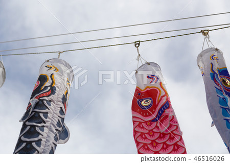 Carp streamer 46516026