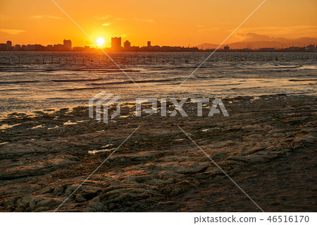 在Sanbanse海濱公園,船橋,千葉的日落 在Sanbanse海濱公園,船橋,千葉的日落 46516170