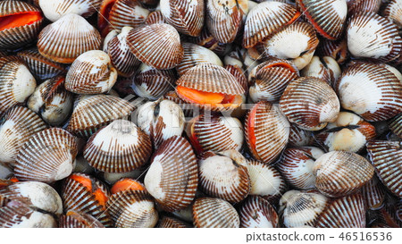 Shellfish seafood ingredients Shellfish seafood ingredients 46516536