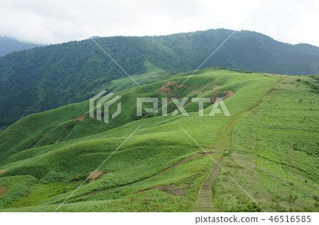 Happushige高原兵庫縣 Happushige高原兵庫縣 46516585