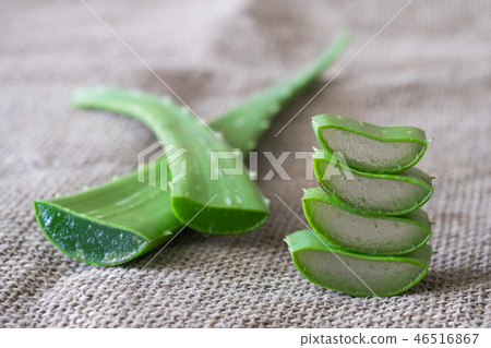 Aloe vera 46516867