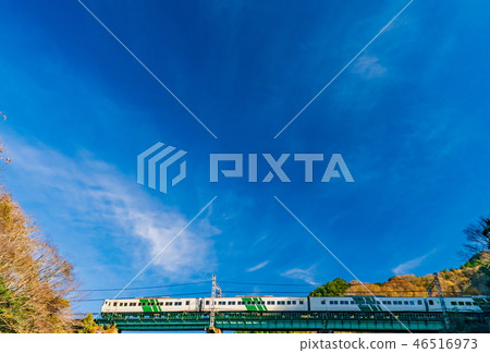 JR 185系列舞者穿越鐵橋 46516973