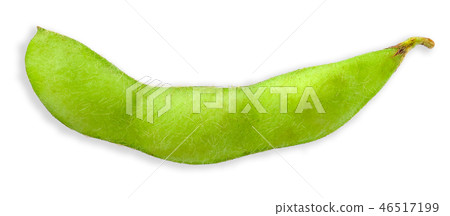 Green soy bean isolated on white clipping path Green soy bean isolated on white clipping path 46517199