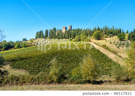 Badia di Passignano. Tuscany. Italy 46517931