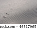 Footprints of the sandy beach 46517965