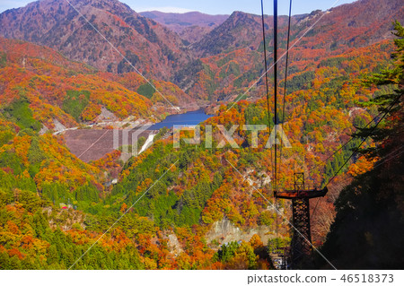 [山梨縣甲府市]秋天的特別美女，Onsho Shosenkyo，索道的風景 46518373