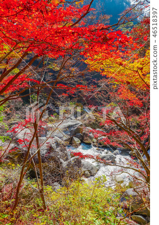 [Kofu City, Yamanashi Prefecture] Autumn special scenic spot, Ontake Shosenkyo 46518397