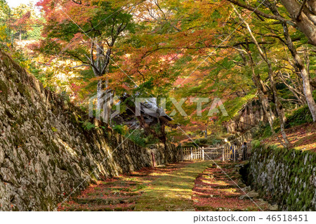 Autumn scenery of Baekje Temple Ishigaki Omotesando 46518451