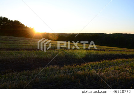 Field landscape during sunset after burning last year's grass 46518773
