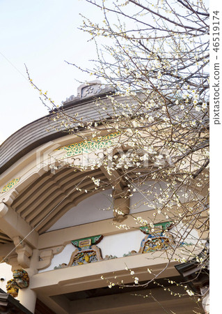 Yushima Tenman-gu Shrine (Yushima Tenjin) Toryumon and plum blossoms Yushima Tenman-gu Shrine (Yushima Tenjin) Toryumon and plum blossoms 46519174
