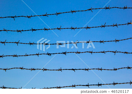 old brab on blue background old brab on blue background 46520117