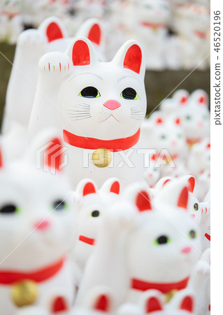The lucky cat of Futatsukuji 46520196