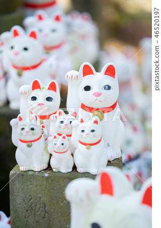 The lucky cat of Futatsukuji 46520197