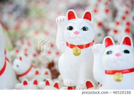 The lucky cat of Futatsukuji 46520198