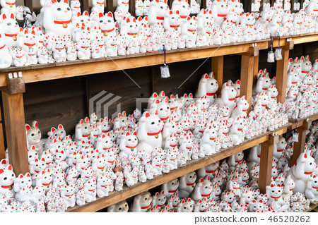 Futatsukuji的幸運貓 46520262