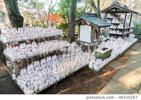 Futatsukuji的幸運貓 46520267