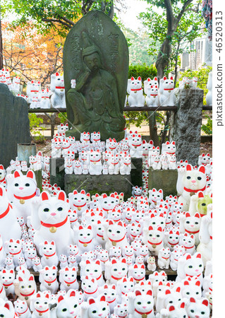 The lucky cat of Futatsukuji The lucky cat of Futatsukuji 46520313