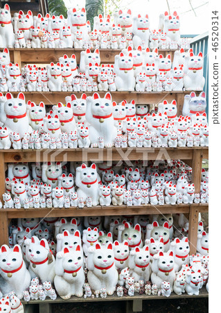 The lucky cat of Futatsukuji The lucky cat of Futatsukuji 46520314