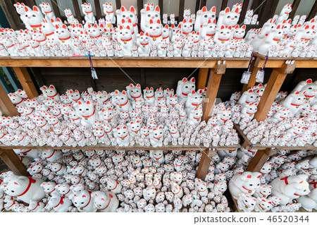 The lucky cat of Futatsukuji The lucky cat of Futatsukuji 46520344