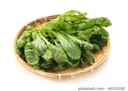 Kanazawa Haruoka 46520380