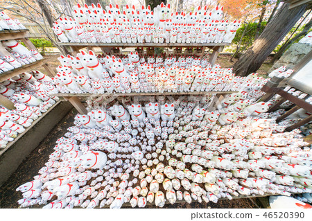 The lucky cat of Futatsukuji 46520390