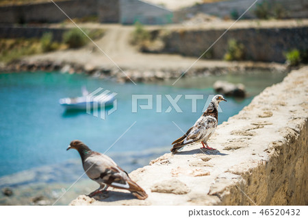 Fishing boat stands in the sea near Kyrenia Castle 46520432