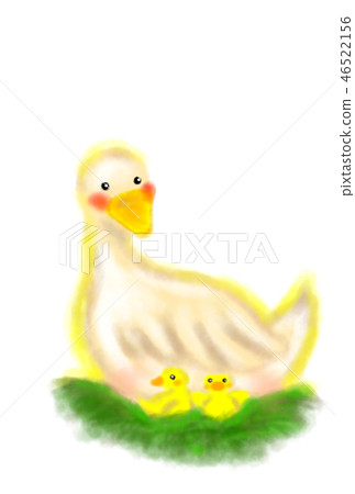 Protect the child, mother duck. 46522156