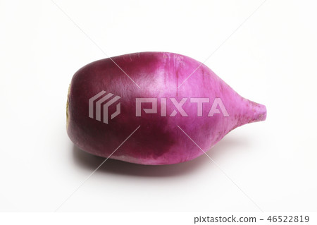 Purple radish 46522819