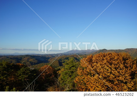 從落基山脈的景色是美好的 46523202