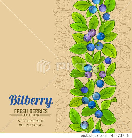 bilberry vector background bilberry vector background 46523736