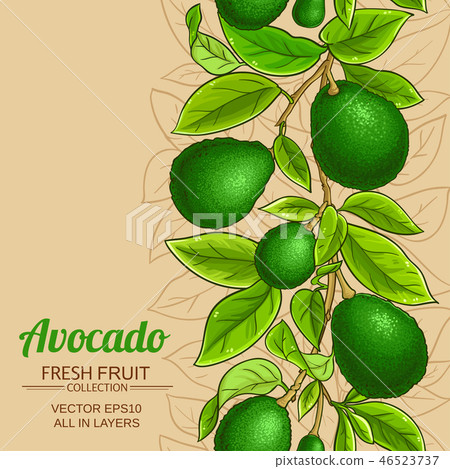 avocado vector pattern avocado vector pattern 46523737