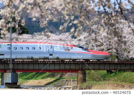 Akita Shinkansen-Shinkansen Komachi that goes through Akita Road in full bloom 46524078