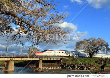Akita Shinkansen-Shinkansen Komachi that goes through Akita Road in full bloom 46524080