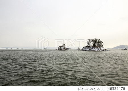 Pellet island Pellet island 46524476