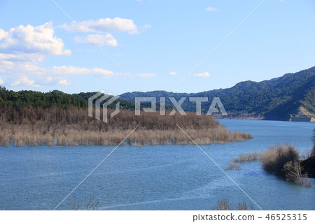 Dead tree and Lake Shuparo Dead tree and Lake Shuparo 46525315