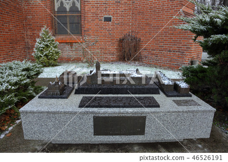 Cathedral in Kaliningrad, Russia 46526191