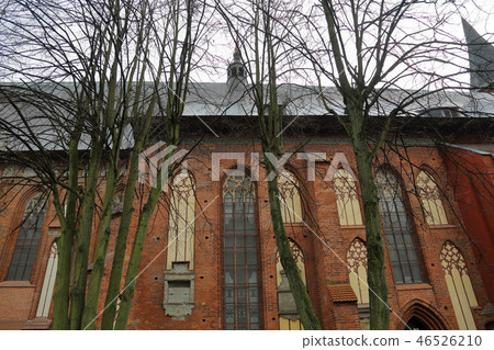 Cathedral in Kaliningrad, Russia 46526210
