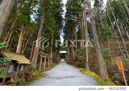 Highest Power Spot Oiwa Shrine Highest Power Spot Oiwa Shrine 46526500