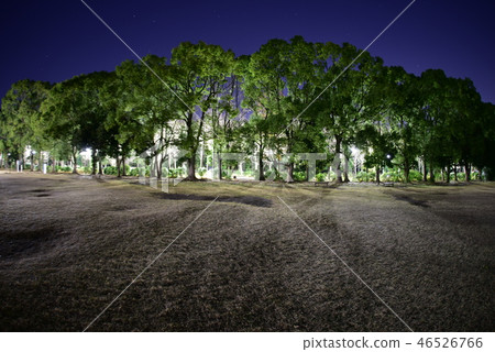 Square of the aviation commemorative park 46526766