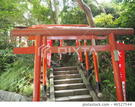 Torii Torii 46527544