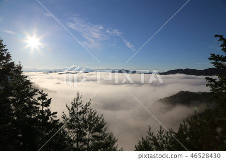 Sea of clouds in Nosakogawa village Sea of clouds in Nosakogawa village 46528430