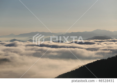 Sea of clouds in Nosakogawa village Sea of clouds in Nosakogawa village 46528431