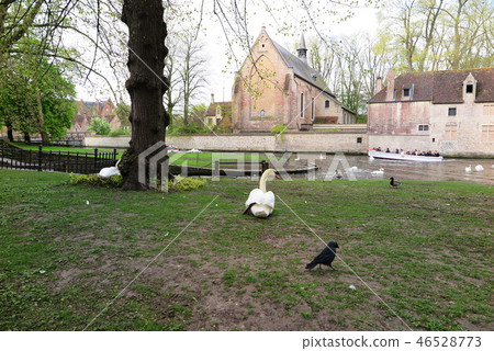 Begijnhof of Belgium, the Belgian World Heritage Site of Bruges 46528773