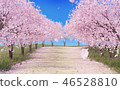 櫻花樹圖像 46528810