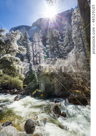 Winter in Yosemite Winter in Yosemite 46529105