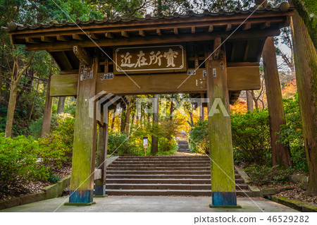 秋葉在秋天在日本，鎌倉，日本 46529282